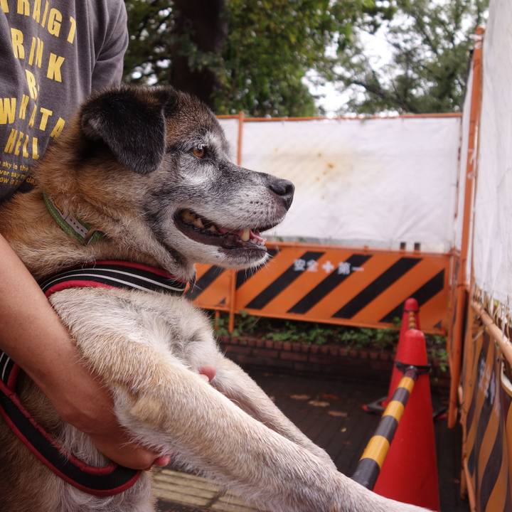 4d190d5c cdac 4a9f 98db fd28aecd4048 1679965714941