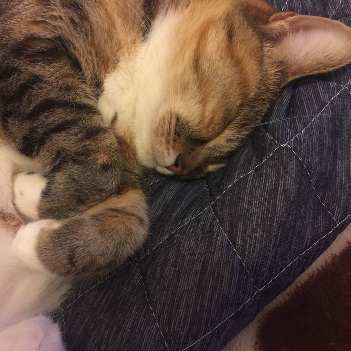 4d192430 a1df 4130 9083 919406cdb753 1551197710769