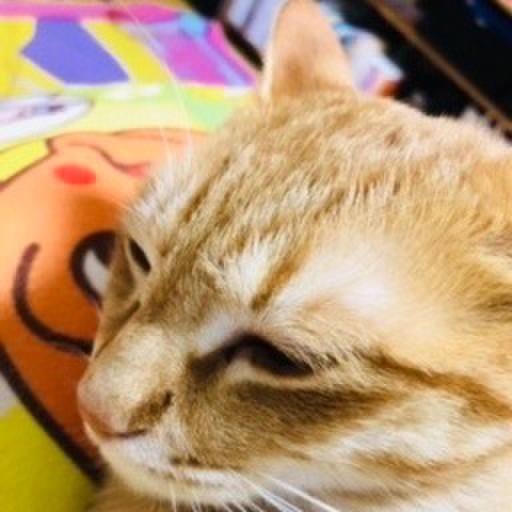 4d192b95 8a6e 4ebf aace 449ca0df638e 1522842252288