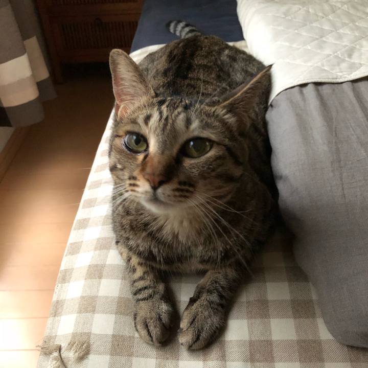 4d1965a8 504b 4108 a35a ade59aa6238e 1531485321462