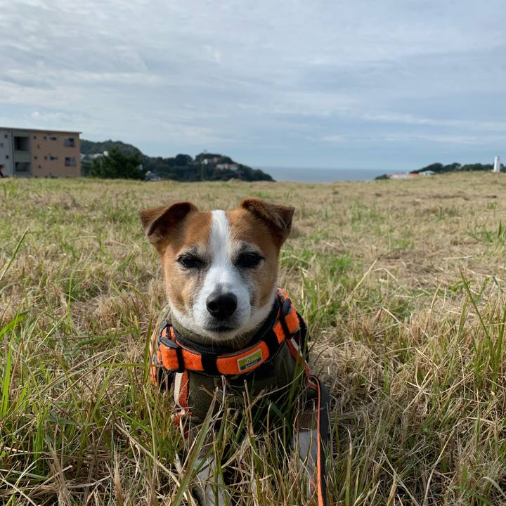 4d196aa9 9ae7 49c3 bc11 3eb3fbf1cb04 1635122062105