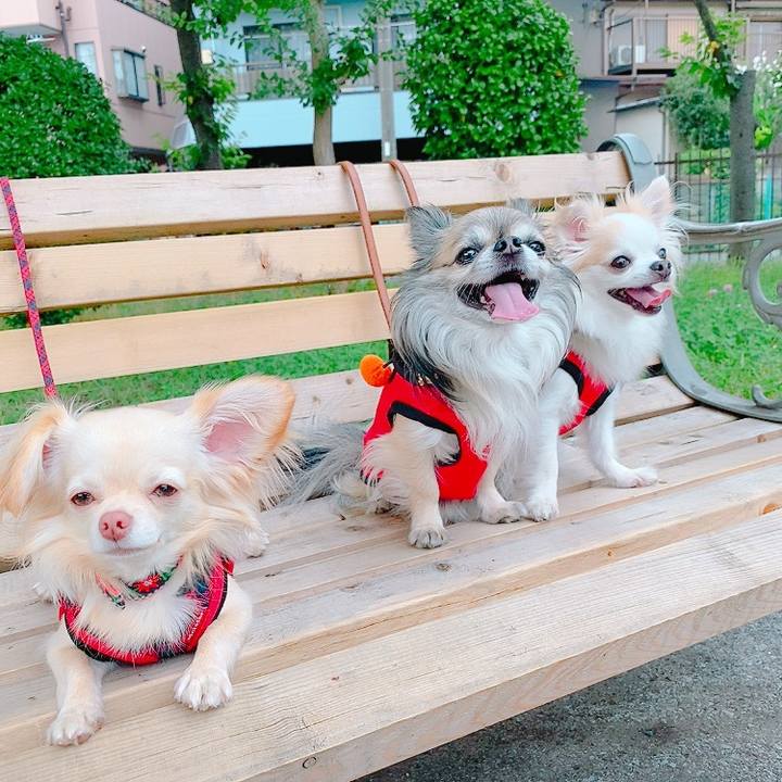 4d198155 071c 4f55 a21e 81f95c40d3de 1625048820397