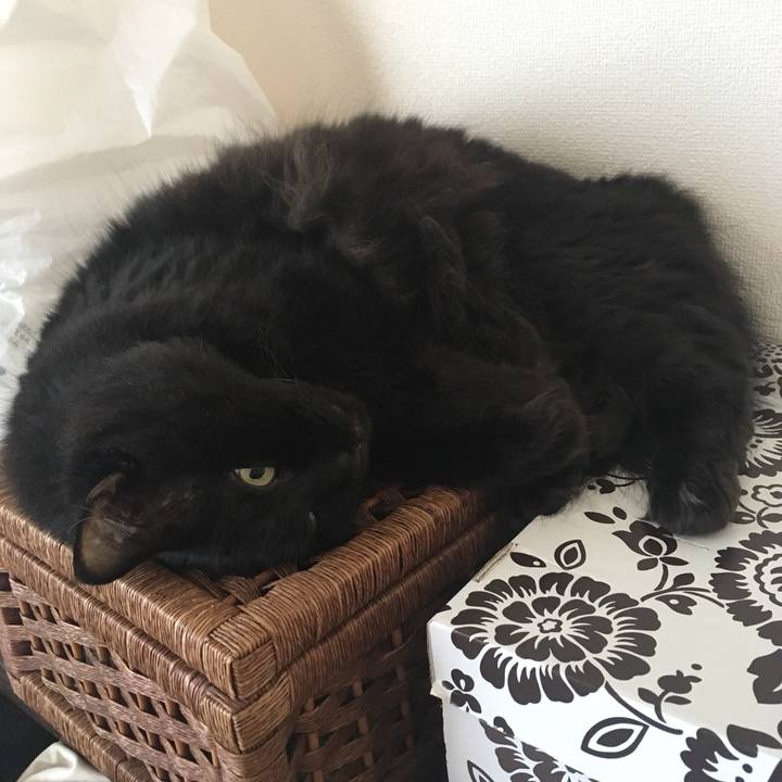 4d19850b 6eb7 4a76 9329 4642ddf910dc 1533079119053