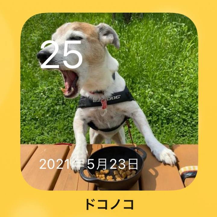 4d198d5f 6780 4814 a76b 5eb5bf2d44d8 1653485352491