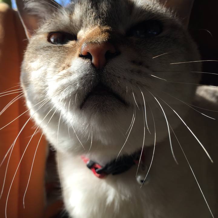 4d19ca72 9e30 47fc 9dd8 299a4f7cf0ef 1545444352166