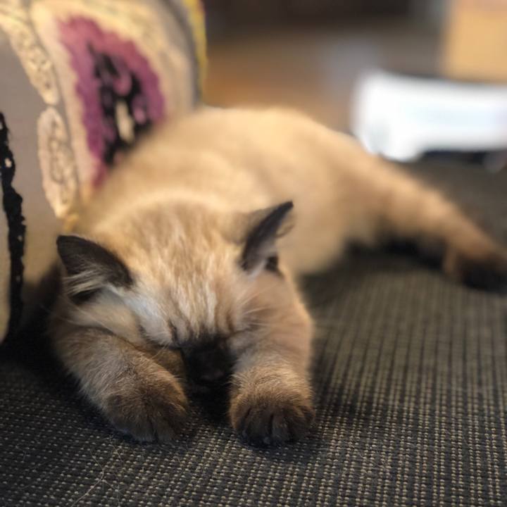 4d1a240e 4285 45cf 872a 1680e0bfef9e 1587904979499