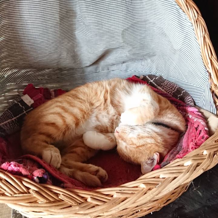 4d1a44d8 340e 4556 8c4d ad96c8d5cc26 1568504600656