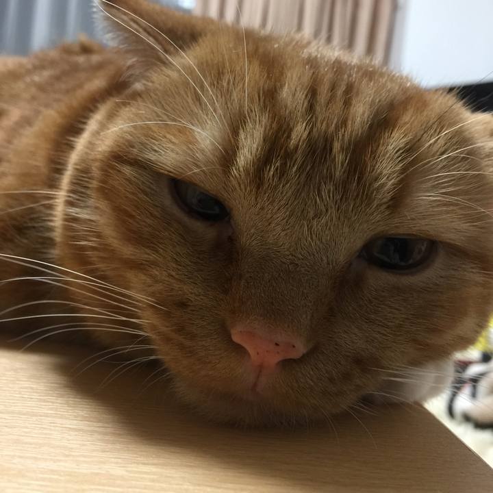 4d1a7a23 bf08 4cda 85e5 feb59a545894 1537792747696