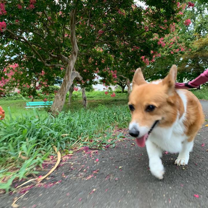 4d1aa2c7 76b6 4659 936f 766c57db5bfc 1691269094853