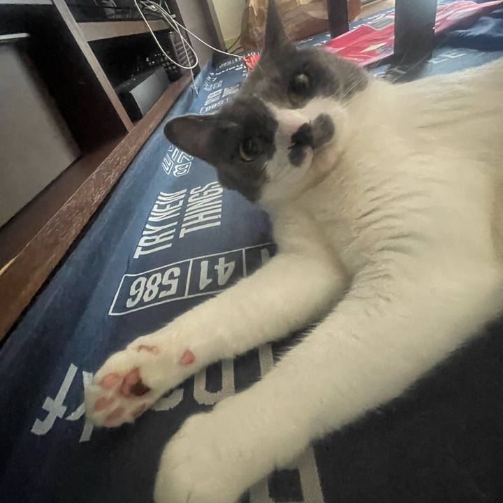 4d1ac859 bef9 4983 9a19 45193cbef662 1721533332549