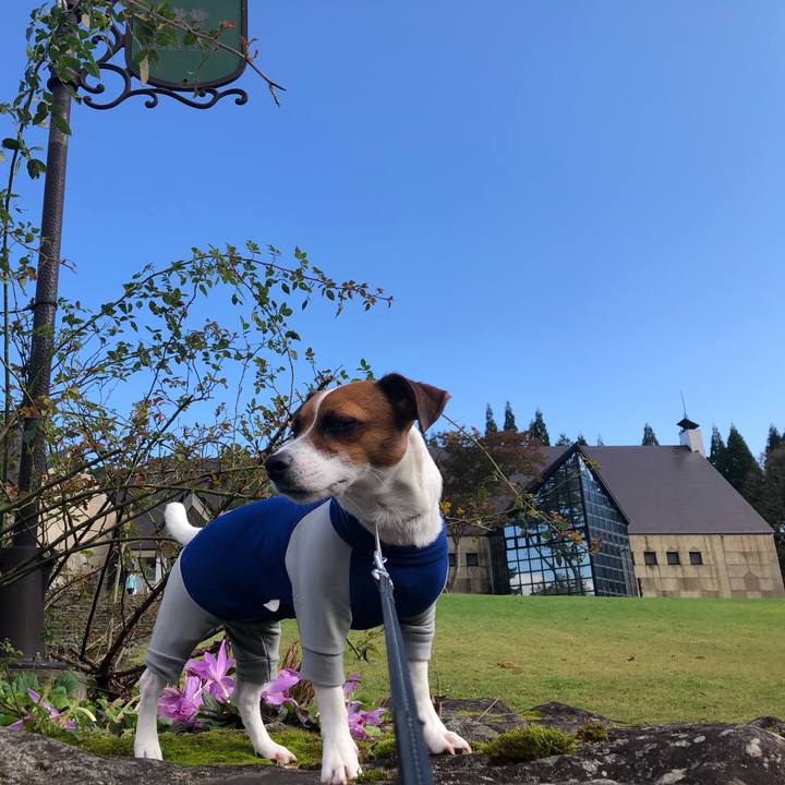 4d1ad8ed a5b1 4627 aeb9 fd5f0cf5f30f 1571224996399