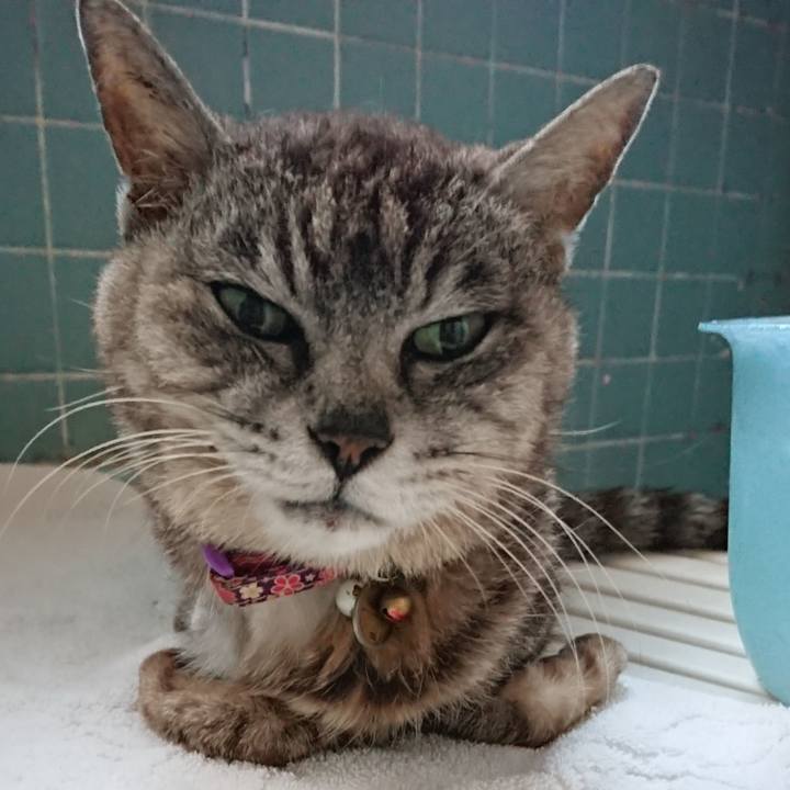 4d1aec88 b4ce 4193 8d67 50c672d84c50 1595152028678