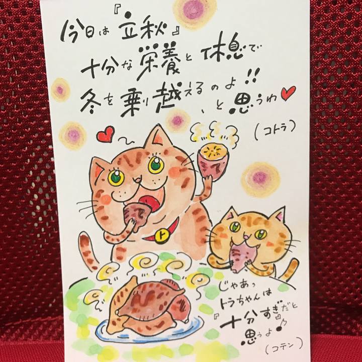 4d1afbed f54a 48ac 8773 1e7a82d253b3 1541596265327