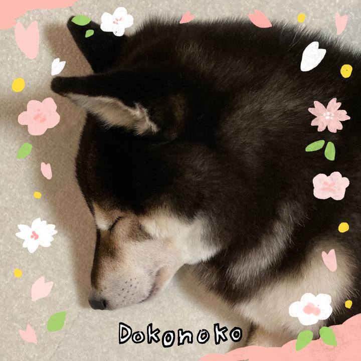 4d1b073d f576 4705 9ae5 f499859c5236 1711327452355