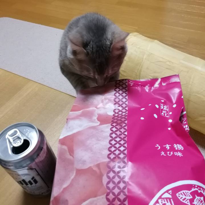 4d1bb5a0 b304 4e63 af84 9bbf99737304 1546001979023