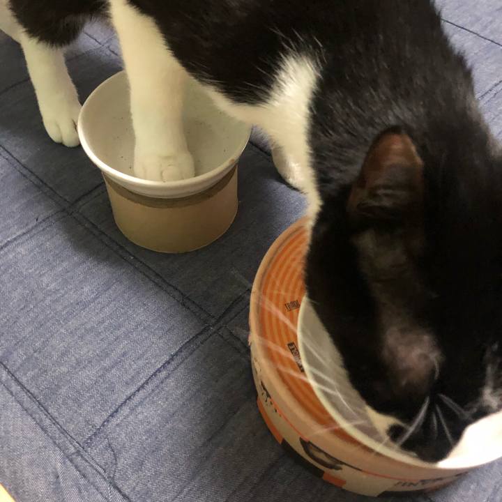 4d1bf97f dbf4 449a b14a b3b973fcf686 1598935820422