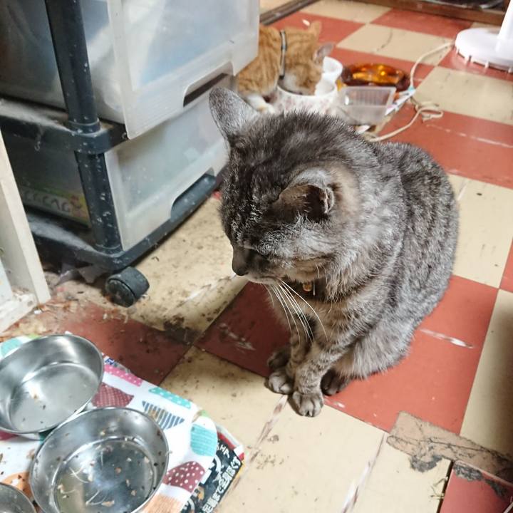 4d1c056a 2569 45c2 842d f4dcab9a2ac0 1592425632451