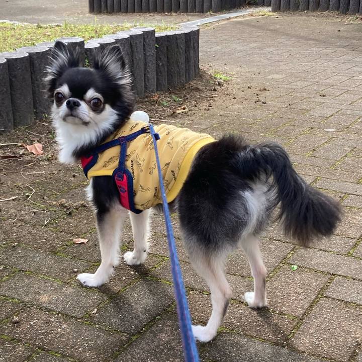 4d1c078a c411 4d44 84fb 9fff29012a32 1698576142540