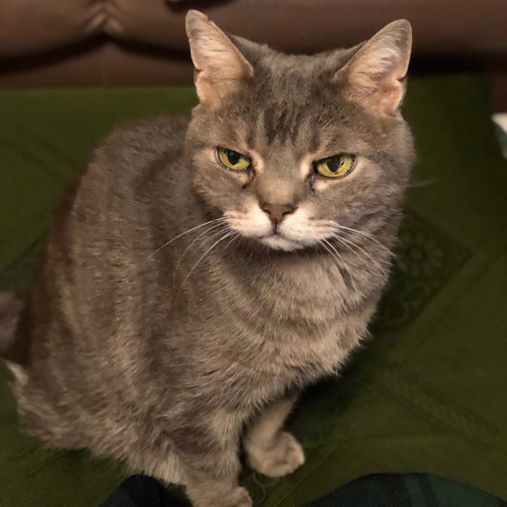 4d1c27ed 9210 4f3b 8edf c1c643e2867c 1515928784766