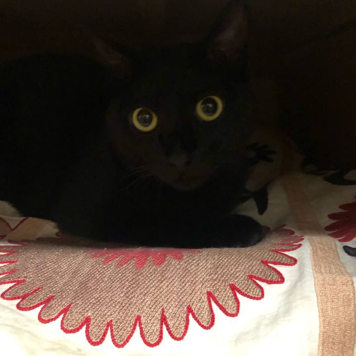 4d1c6bb7 38e4 4a9d 936f a48c55851252 1560516063832