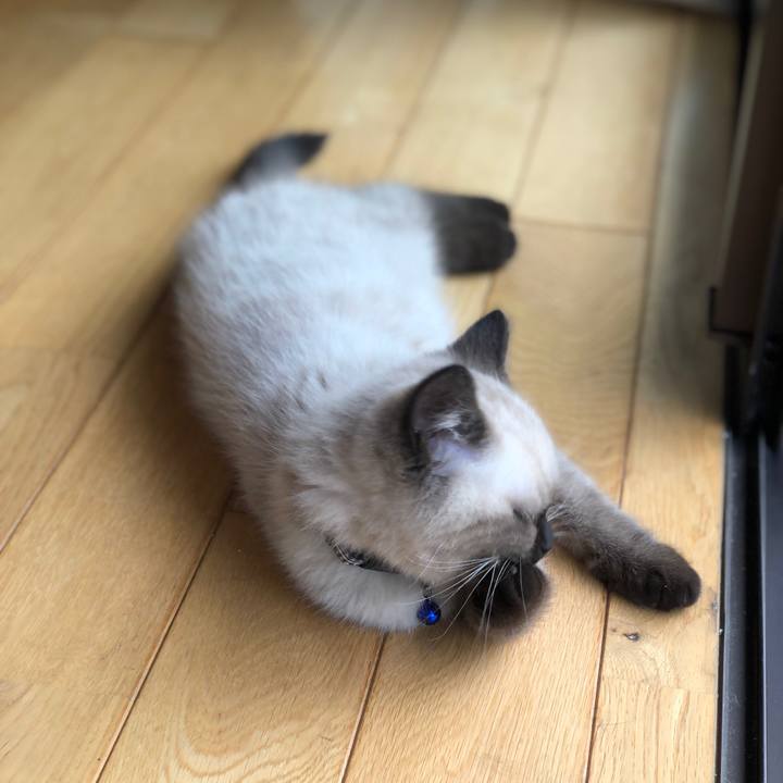 4d1c86a4 ee1e 45a8 9ec7 b2fb09dd2949 1588320286440