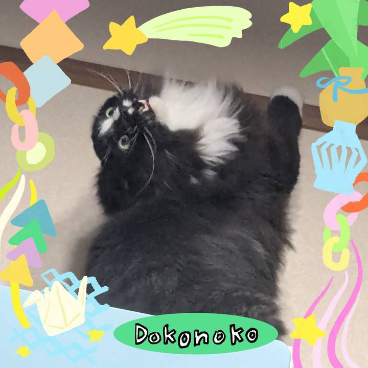 4d1d1948 754d 4c22 b012 e459b812317b 1755421101588