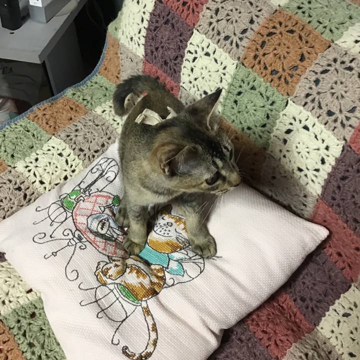 4d1d21ac 8bc4 4b8f a64d 47c1fd88f60c 1579146853557