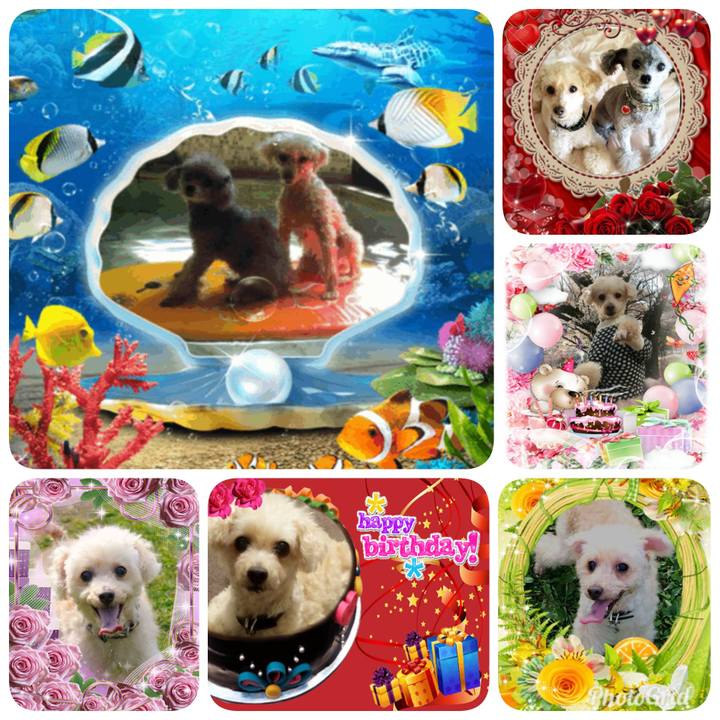 4d1d245d 45f6 4399 a069 d4ecbfd2b833 1562452710502