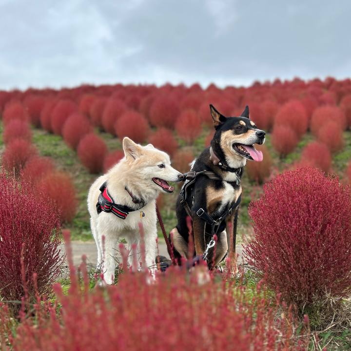 4d1d3f2a 1422 45cd b809 fe022aa39f91 1760360160269