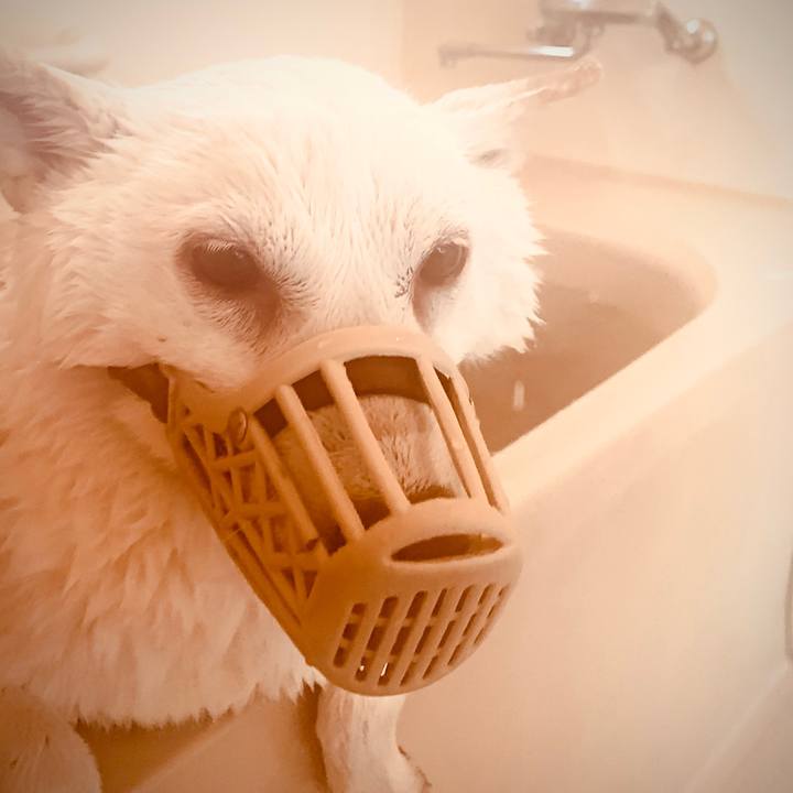 4d1d7b56 35e1 4772 820f d99aa16b8f75 1604218902849