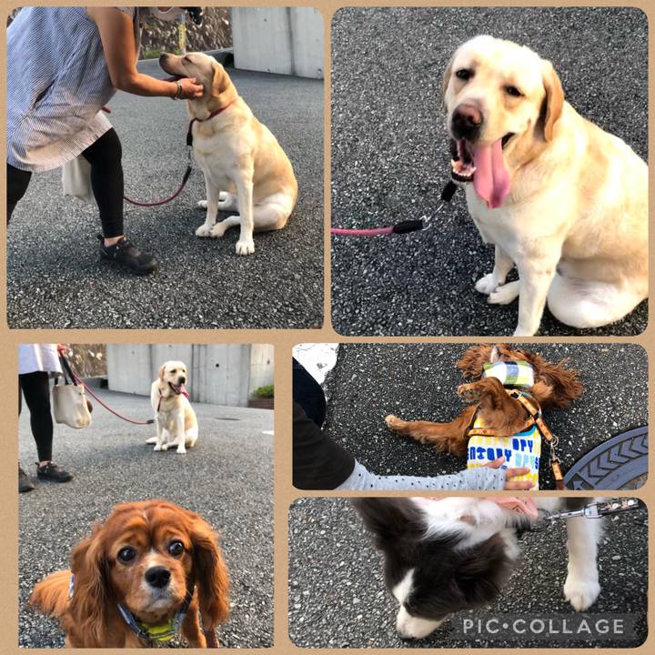 4d1e22e1 13ed 4d08 b81f 2b66b1428cc9 1627769849142