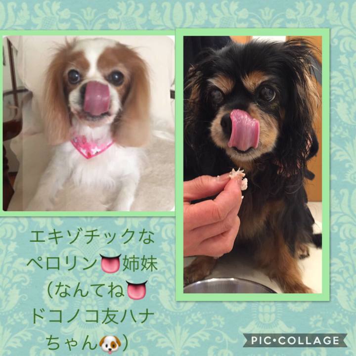 4d1e73cf c265 4d08 8f0c 0285f726cc73 1532744443982