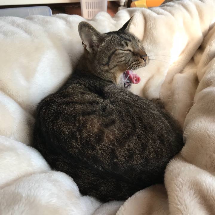 4d1e837b 6545 4dc8 94ce 9830d1e233e0 1519608800905