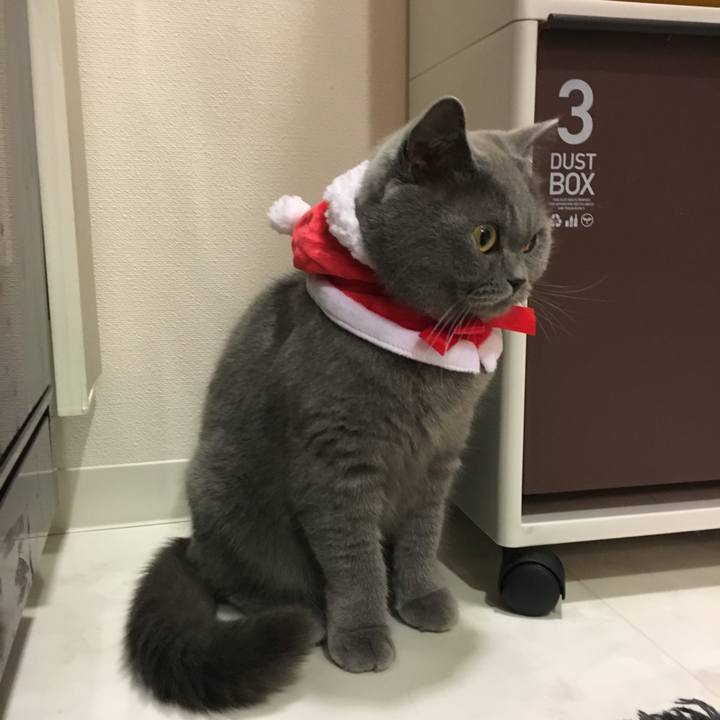 4d1ea302 5309 42dd b1db d3fdf8a164e9 1510996913668