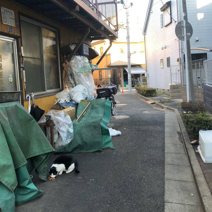 4d1eb4ab accc 4ba9 adb8 e057dc1eb586 1580974409361