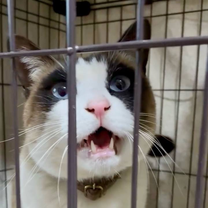 4d1f005f 1283 44bd b459 f3ee956df2b8 1773312984911