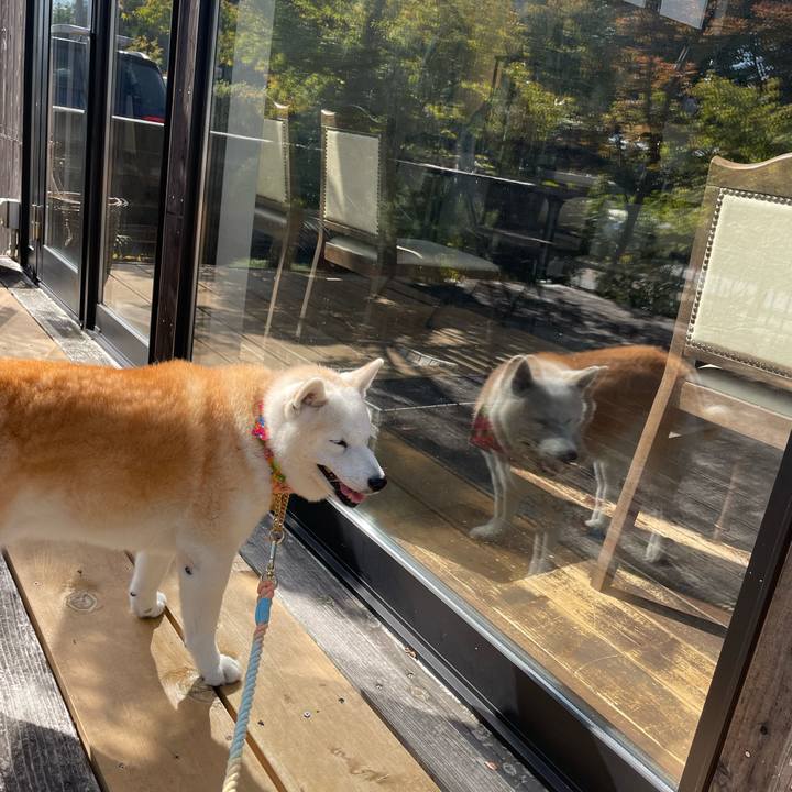 4d1f37a6 b0c9 4260 9e7b 35755f81b49a 1667007009408