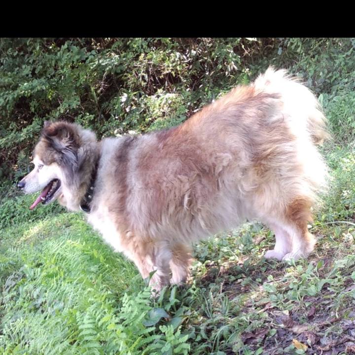 4d1f3d6e be29 47ef ab66 a2fffbf3ffad 1653370096613