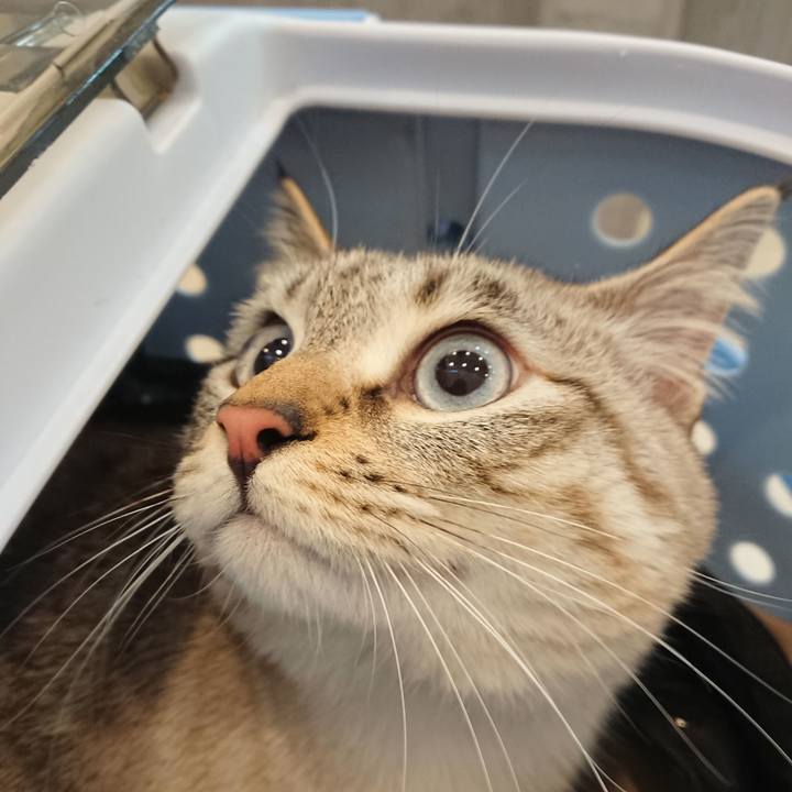 4d1f4fbb e27c 4c84 be0d 7a57b0ec85e6 1519455229462