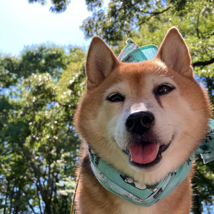 4d1f6e54 d055 4ad7 b13a 51ce68626c4a 1660872123048