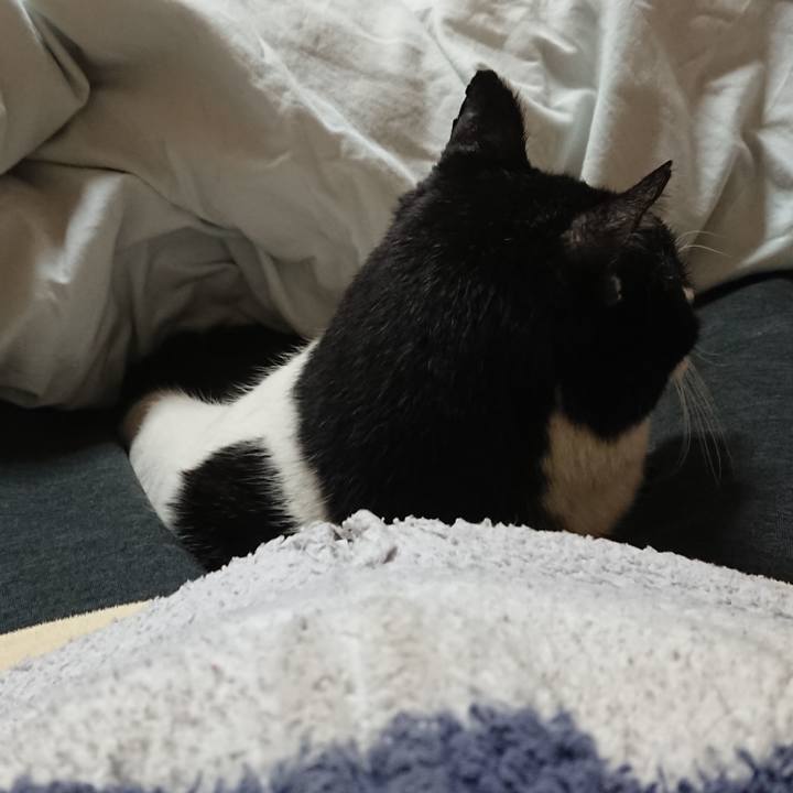 4d1f7a50 37fa 4376 a93d a0875e9b0f1b 1675862761164