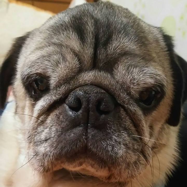 4d1fab7f 659d 44b5 9076 3ff99d6e6185 1530038319589