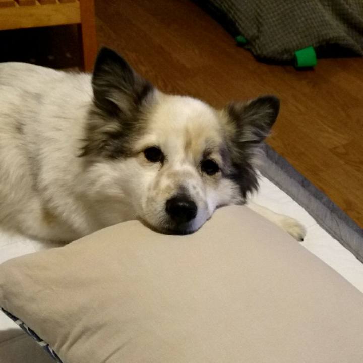 4d1fbc86 7aba 4ad4 bfac 4bd9fba5a520 1520084053608