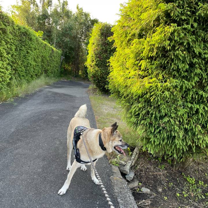 4d1ffd2c b1ef 41f4 a387 179d4869bb47 1715948730422