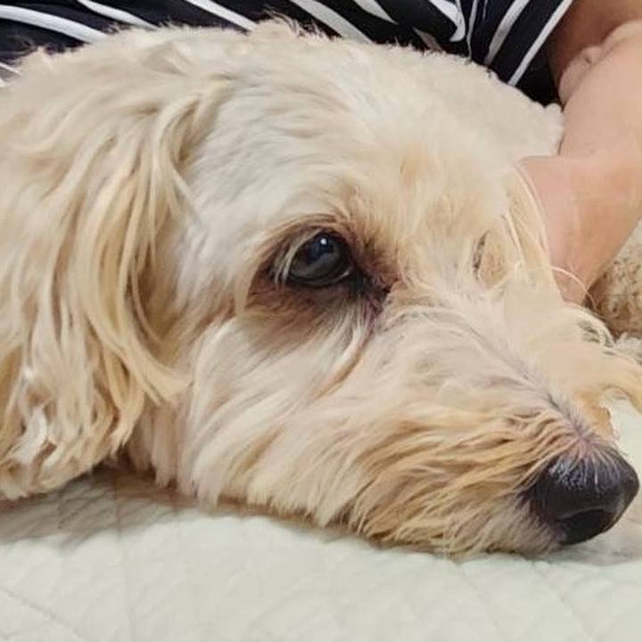 4d203e62 d7a5 403e be41 ce411da052de 1757733546487