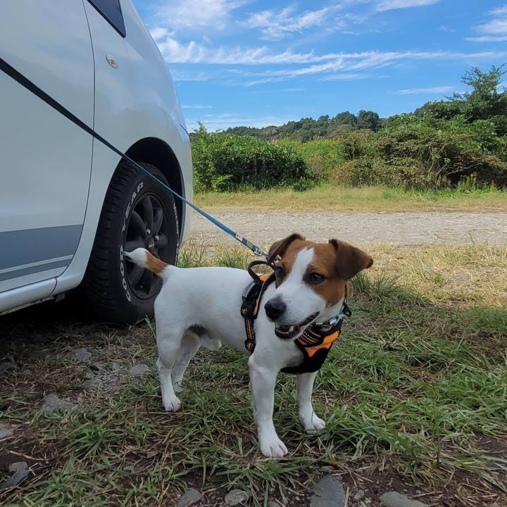 4d20c0e6 584a 46f7 ad24 fd7328d6550c 1665461016255