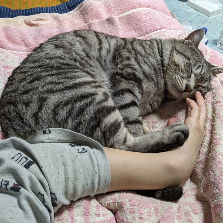 4d2124f4 af63 483d 949e 369060c74cc3 1708527320527