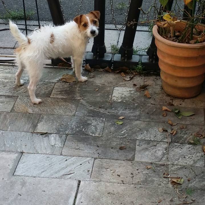 4d21308a 13cf 4e87 88d4 27347686ca39 1512958149416