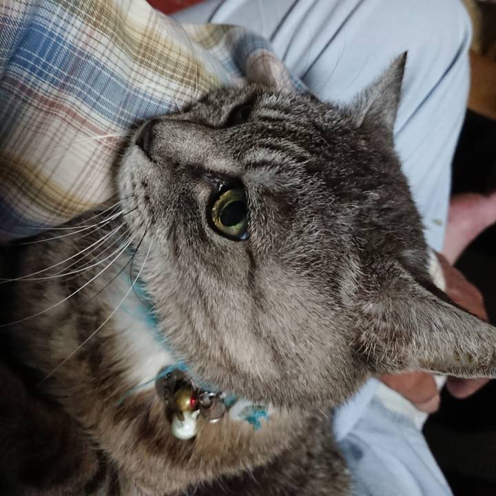 4d215e61 20e4 4cf6 a840 b4a8b4fcd9d7 1570619336240