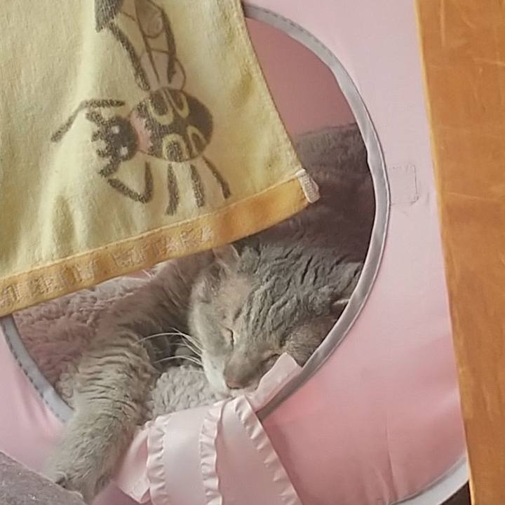 4d217626 c8c6 4679 a7af b51baa7b755f 1687309682887